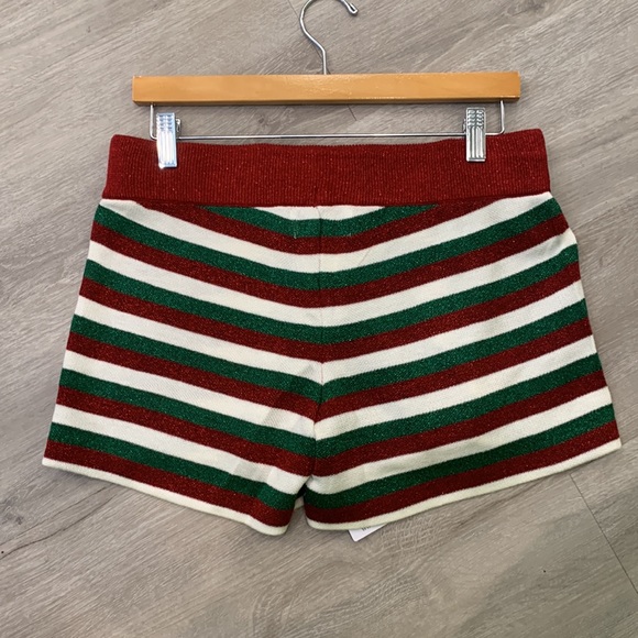 Beach Riot Festive Balboa Shorts - Picture 3 of 5